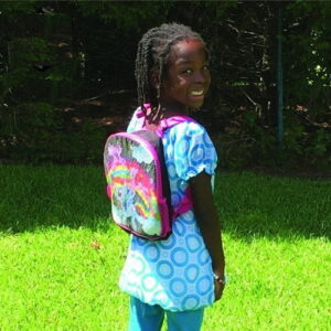 SWRG Inserts in Backpack