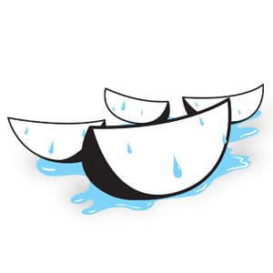 Harvest Right hr-process-4