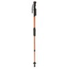 ZAP Hike-n-Strike Walking Stick upright