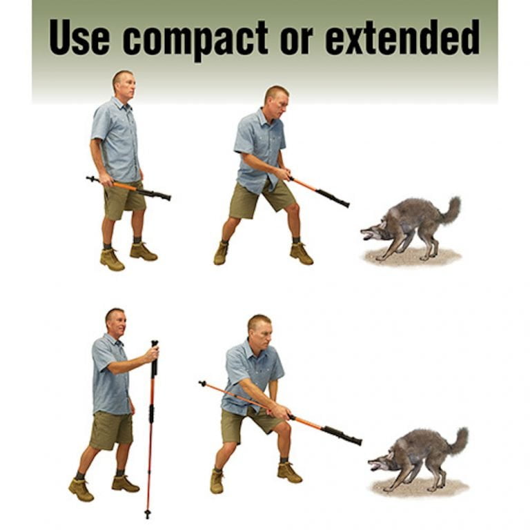 ZAP Hike-n-Strike Walking Stick poster