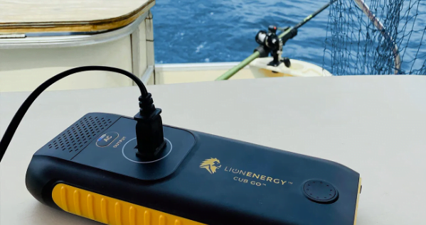 Lion Cub Go Lifestyle