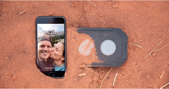 Lion Eclipse Lifestyle 01