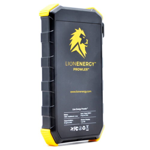 Lion Prowler back side angle