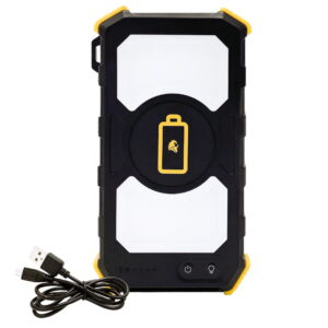 Lion Prowler upright w/ usb cord