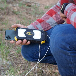 Lion Prowler in hand on knee