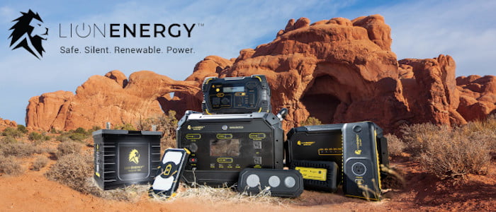 Lion Energy Banner