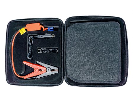 Lion Cub JC case left side